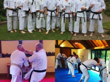 Perdido en el Karate: Residencial de Iain Abernethy Abril 2019